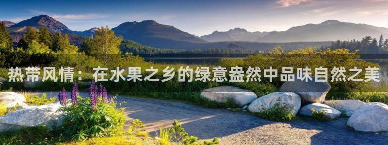 天顺娱乐丩金手指专业2