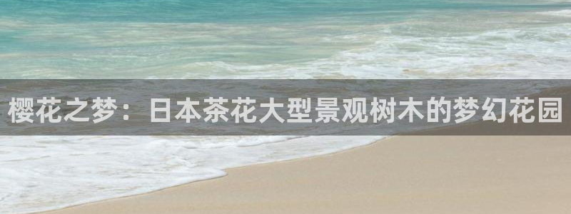 天顺娱乐迸943994