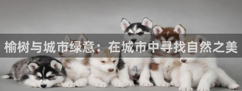 天顺娱乐平台App
