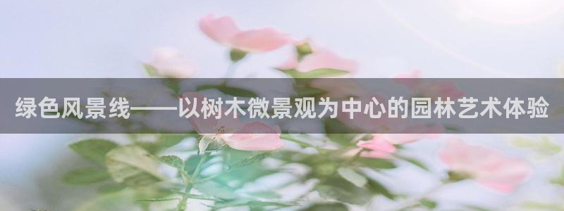 天顺娱乐负责人乛矩p29999