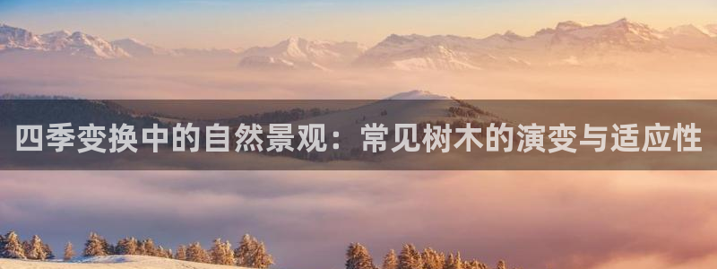 天顺娱乐主管发工资吗