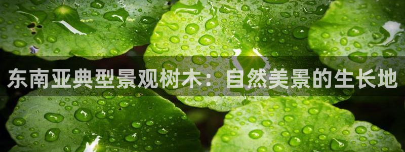 天顺娱乐镁