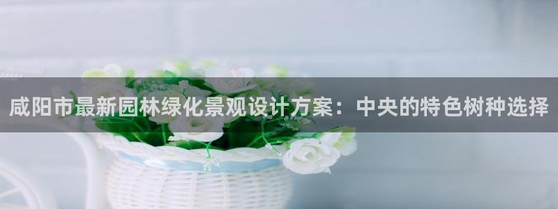 天顺娱乐主管家