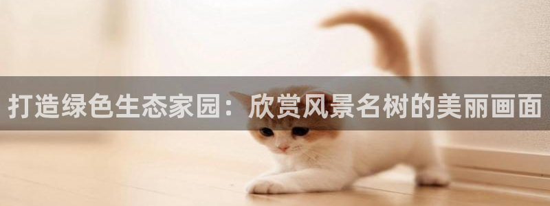 天顺娱乐五q96303
