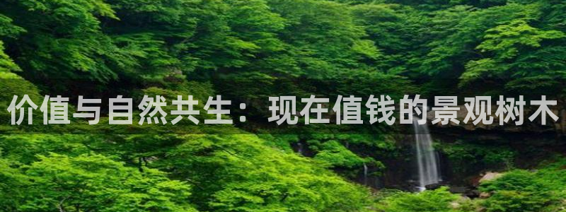 天顺娱乐列943994