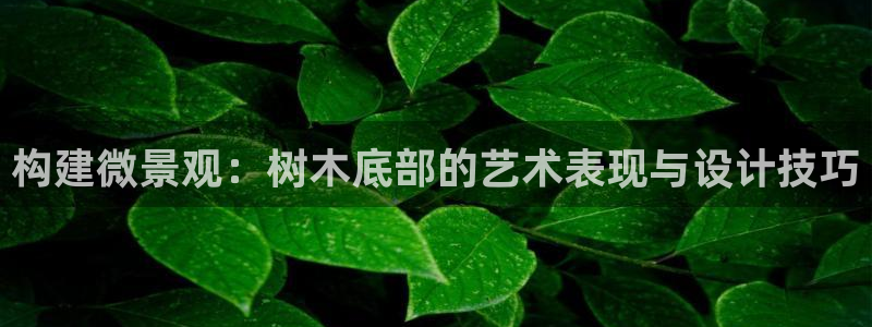 天顺娱乐总代理是谁啊