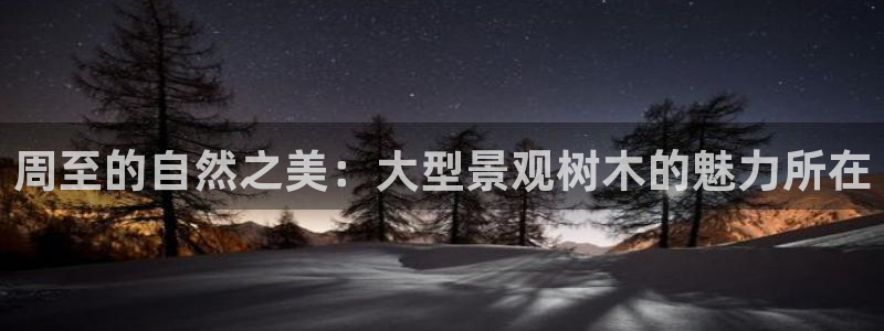 天顺娱乐主管指尖月