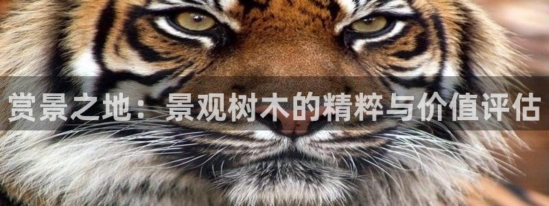 天顺2娱乐平台