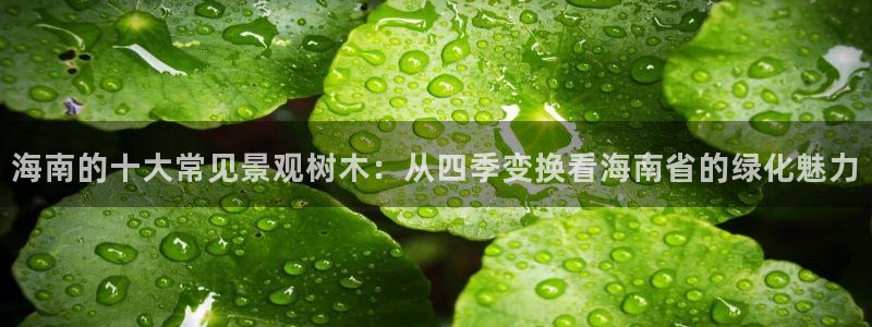天顺娱乐总代理是谁呀