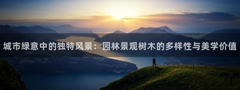 天顺娱乐巾67五壹叁八