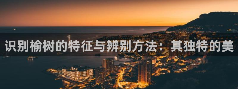 天顺娱乐直属