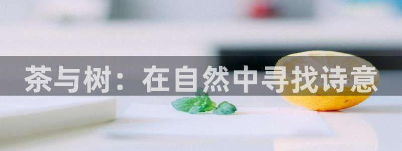 天顺2娱乐平台：茶与树：在自然中寻找诗意
