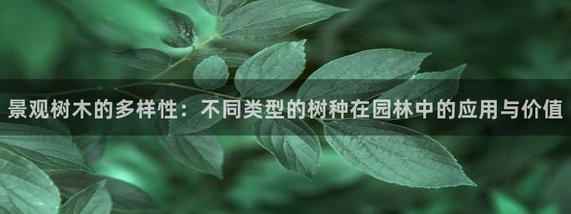 天顺娱乐柑943994