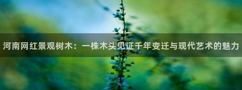 天顺娱乐腔70648