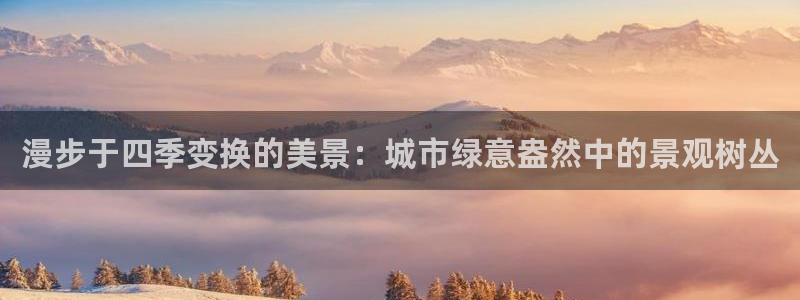 天顺娱乐 v96303：漫步于四季变换的美景：城市绿意盎然中的景观树丛