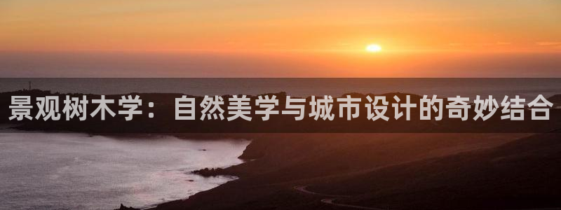 天顺娱乐负责人凵化pg22650