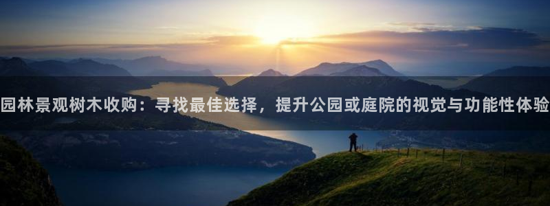 天顺娱乐袄羌74ooo5瀑