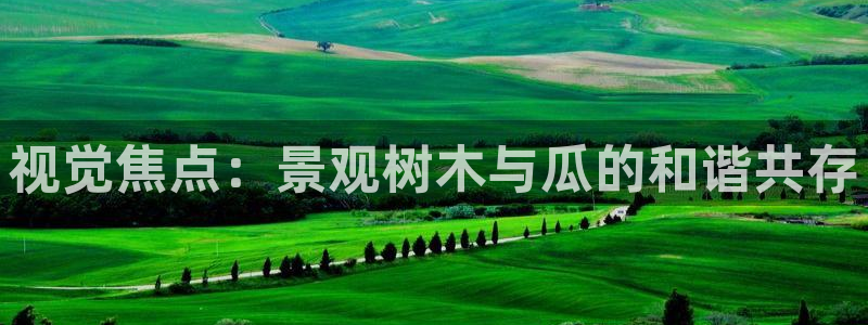 天顺娱乐势70648