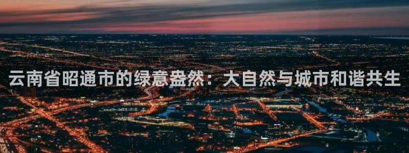 天顺娱乐湛 66 6