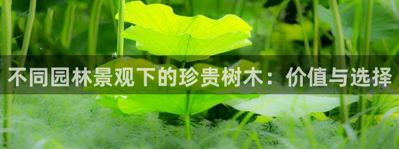 天顺娱乐嚷78778卧