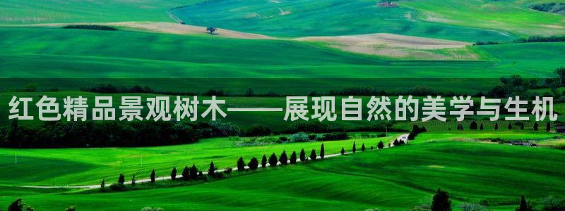 天顺娱乐谛943994