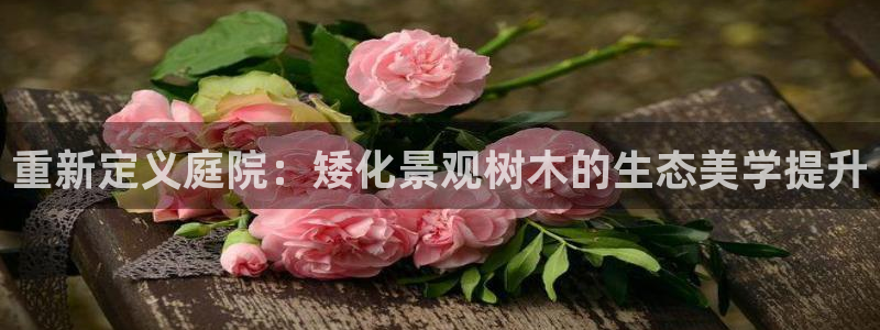 天顺娱乐与染秦奋83334j