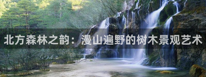 天顺娱乐招c商285580：北方森林之韵：漫山遍野的树木景观艺术