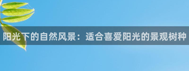 天顺娱乐招c商285580