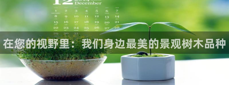 天顺娱乐上级单位是谁啊