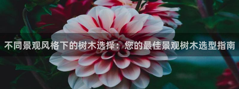 天顺娱乐怎333OO