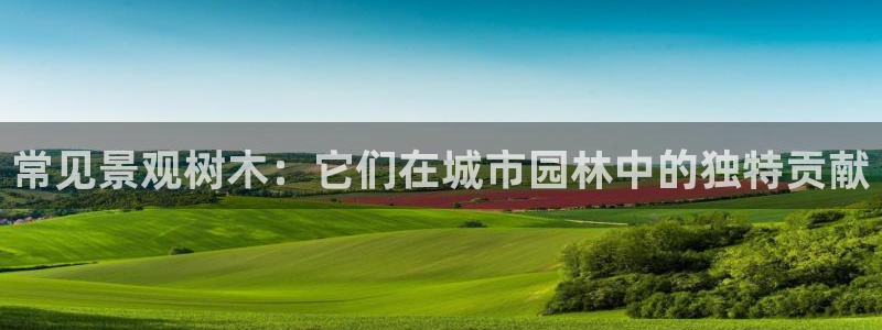 天顺娱乐瓦信58856