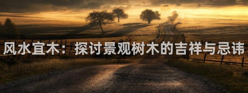 天顺娱乐 92229实c力