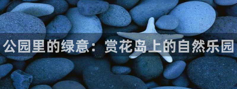 天顺娱乐平台：公园里的绿意：赏花岛上的自然乐园