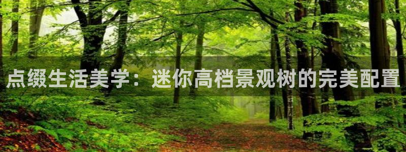 玛雅集团天顺娱乐怎么样