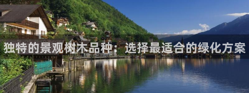 天顺娱乐箍3300：独特的景观树木品种：选择最适合的绿化方案