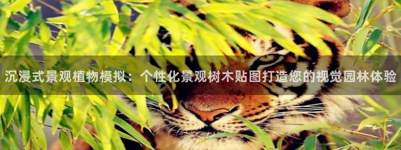 天顺娱乐椎78778卧