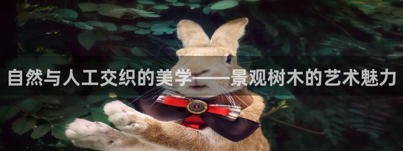天顺娱乐徒70648抠：自然与人工交织的美学——景观树木的艺术魅力