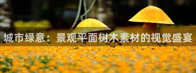 天顺娱乐 k户51828扣c：城市绿意：景观平面树木素材的视觉盛宴