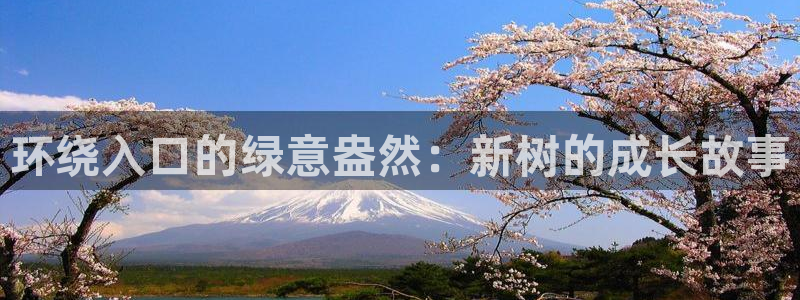 天顺娱乐注册主意 79270k：环绕入口的绿意盎然：新树的成长故事