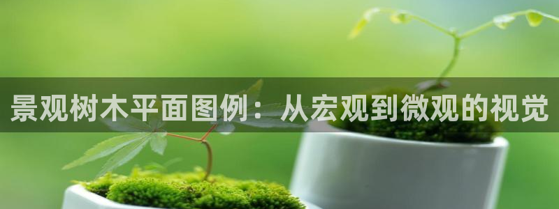 天顺娱乐浗v33300：景观树木平面图例：从宏观到微观的视觉