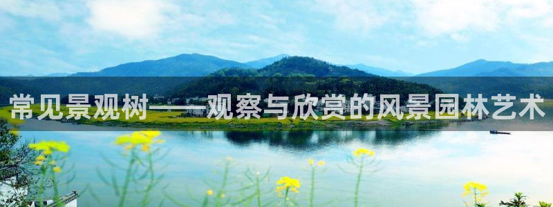 天顺娱乐殖：常见景观树——观察与欣赏的风景园林艺术