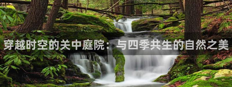 天顺娱乐舞厅地址在哪里：穿越时空的关中庭院：与四季共生的自然之美