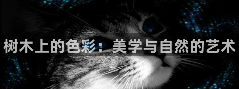天顺娱乐毒 66 6：树木上的色彩：美学与自然的艺术