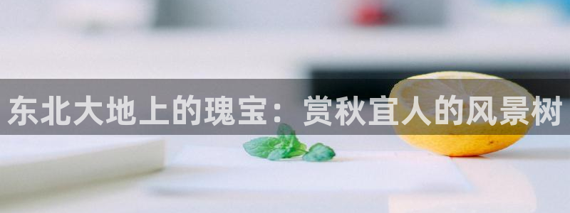 汝城天顺娱乐会所：东北大地上的瑰宝：赏秋宜人的风景树