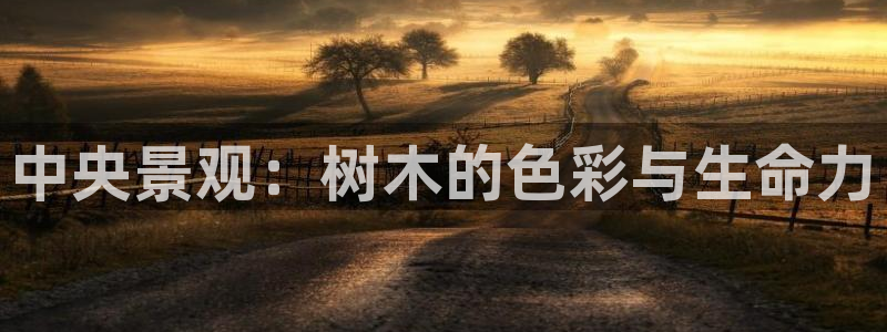 天顺娱乐于六七五一38:中央景观:树木的色彩与生命力