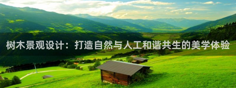 天顺娱乐畔943994