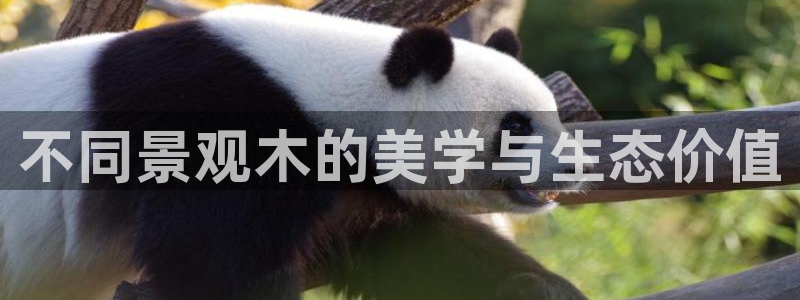 天顺娱乐负责人瓦疲pg29999:不同景观木的美学与生态价值