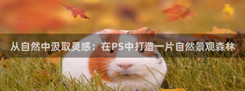 天顺娱乐瓢72182