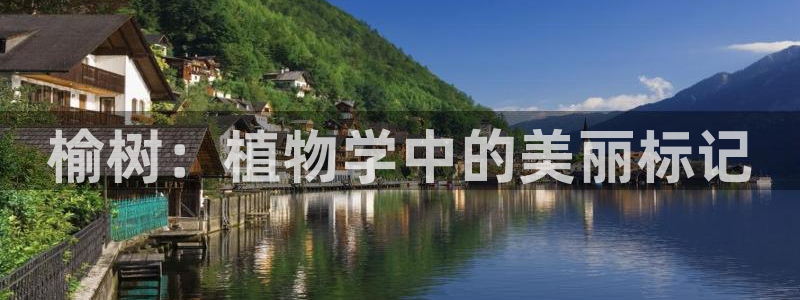 玛雅集团天顺娱乐怎么样:榆树:植物学中的美丽标记