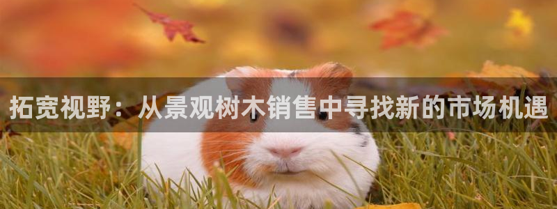 天顺娱乐丈70648